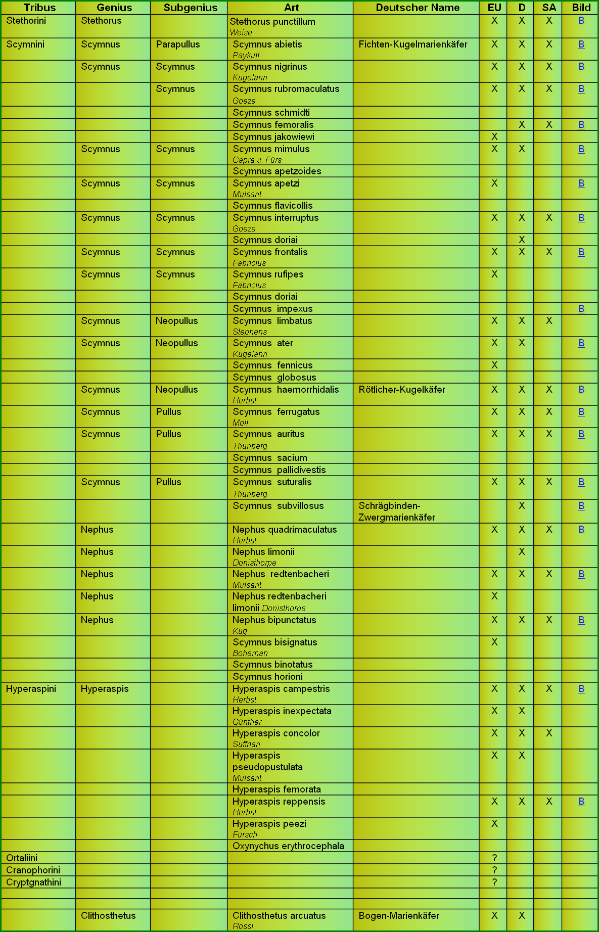 wp22f8edbf.png