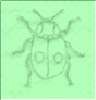 wp4a984081.png