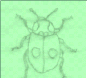 wp9c799a13.png