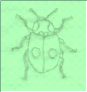 wpd28524ca.png