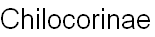 wpe47bd0c8.png